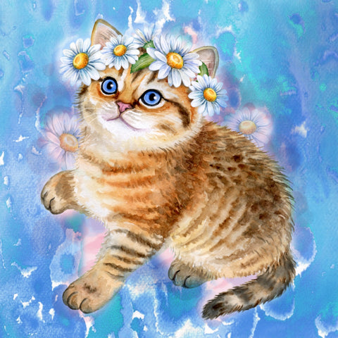 EXCLUSIVE DESIGN! 5D Diamond Art Kit: Kitten