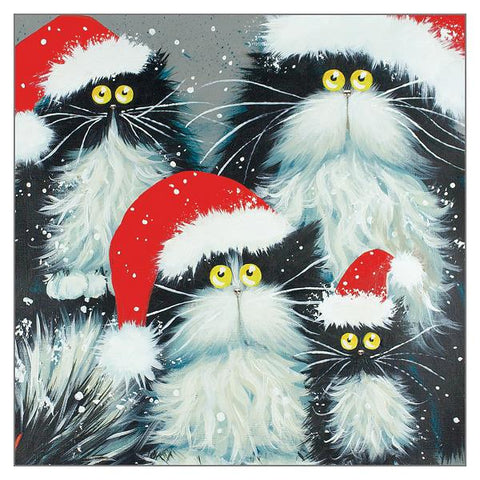 Kim Haskins Cat Christmas Card - Purrfect Xmas (Single)