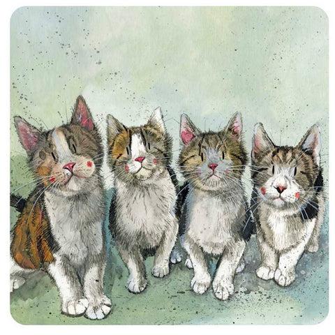 Alex Clark Single Coaster -  Cat Quadruplets