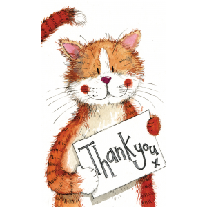 Alex Clark Thank You Sparkle Notelets 5 Pack Ginger Cat