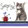 Alex Clark Little Sparkles Cat Card - Surprise Birthday