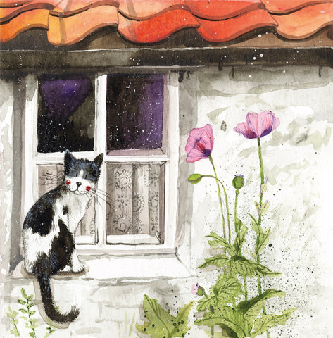 Alex Clark Classic Square Cat Card - Window