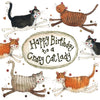 Alex Clark Little Sparkles Card - Cat Lady