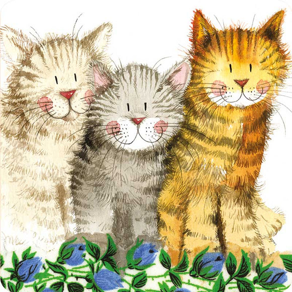 Alex Clark Single Coaster - Three Amigos Cats