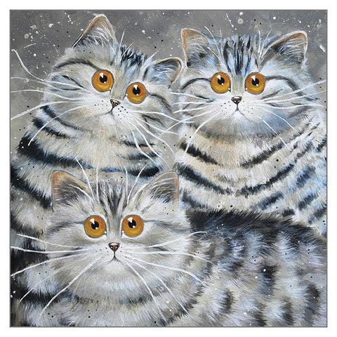 Kim Haskins Cat Greetings Card - Saphy, Oakley & Oscar