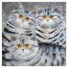 Kim Haskins Cat Greetings Card - Saphy, Oakley & Oscar