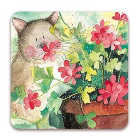Alex Clark Single Coaster -  Polly Cat in Flowers