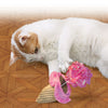 KONG Premium Catnip Cat Toy - Crackles Scoopz