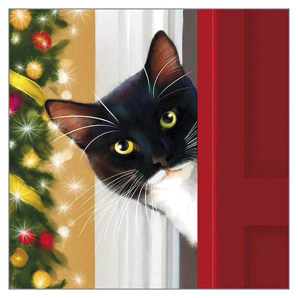 Denise Laurent Cat Christmas Card - Has Santa Been?