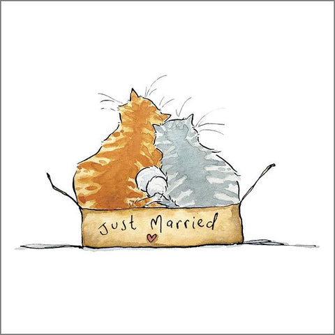 Holly Surplice Cat Greetings Card - Just Married