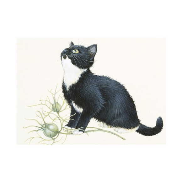 Lesley Anne Ivory Cat Greetings Card - Puff & Seeds