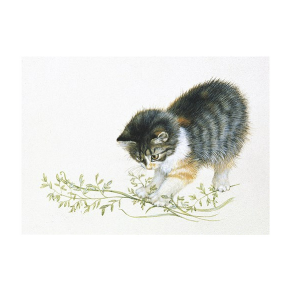 Lesley Anne Ivory Greetings Card - Agneatha in Grasses