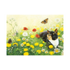 Lesley Anne Ivory Cat Card - Motley & Tortoiseshell