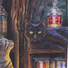 *Lisa Parker 'Magical Emporium' Cat Journal Notebook*